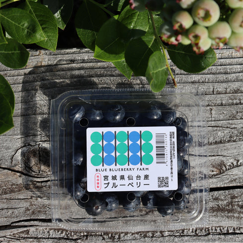 【予約販売受付中】農薬不使用仙台市秋保産生ブルーベリー合計480g/化粧箱冷蔵配送